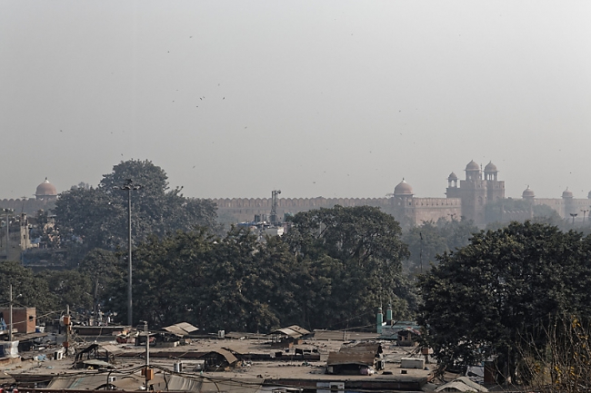 Delhi-Grande mosquée-002
